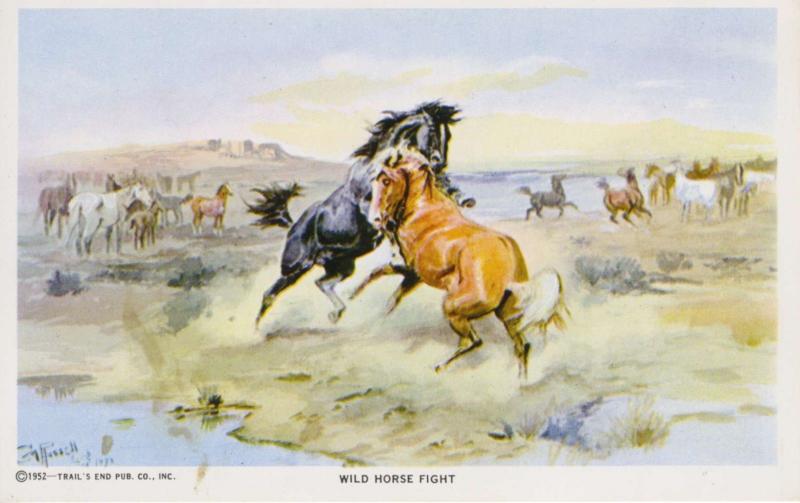 Wild Horse Fight Charles M. Russell Artist CM Trails End Unused Postcard D28