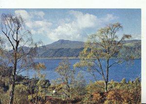Scotland Postcard - Loch Ness from Inverfarigaig - Inverness-shire - Ref TZ8690