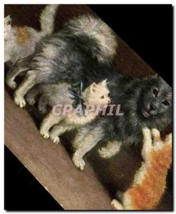 Old Postcard Cats Cat Dog Kitten