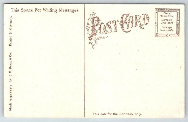 YMCA Building    Buffalo  New York  Postcard   c1910