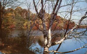 Autumn at Durand Lake - Durand Eastman Park, Rochester, New York