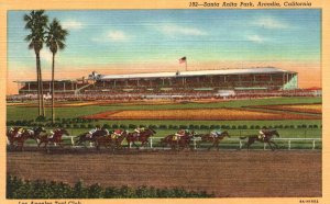 Vintage Postcard Santa Anita Park Horse Race Track Rancho Arcadia California CA 