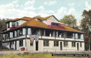 Elmira New York Tuberculosis Hospital Exterior Antique Postcard K29422