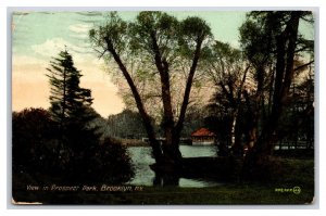 View in Prospect Park Brooklyn New York City NY NYC DB Postcard O15