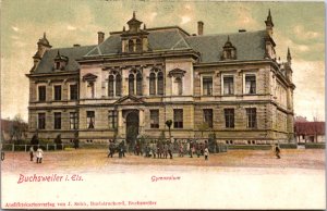 Germany Buchsweiler im Elst Gymnasium Vintage Postcard C012