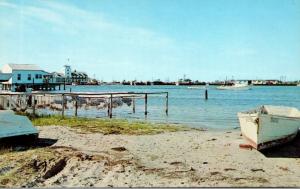 North Carolina Ocracoke Shore Of Silver Lake