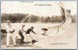 FISHING  EXAGGERATED GANANOQUE CANADA 1926 ANTIQUE REAL PHOTO POSTCARD RPPC