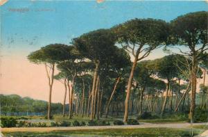 Viareggio la Pineta Italia