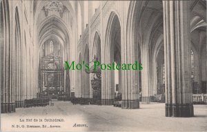 Belgium Postcard - Anvers, La Nef De La Cathedrale - Flemish Region.   RS31800