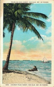 Panama Coconut Palm Sarati San Blas Vintage Postcard 07.96