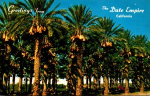 California Coachella Valley Greetings From The Date Empire Date Groves Laden ...