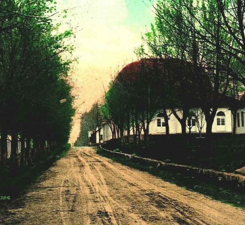 Hagerstown Maryland MD Driveway Great Fairgrounds 1907 Vtg Postcard