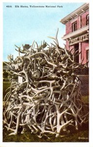 Yellowstone National Park Elk Horns