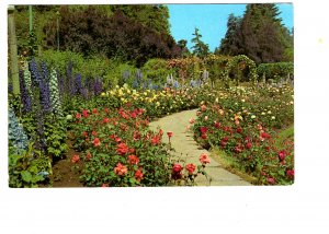 Rose Garden, Delphiniums, Butchart Gardens, Victoria, British Columbia Used 1962