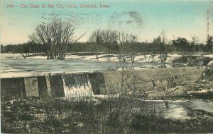 Dam City Park hand colored Oelwein Iowa 1910 Postcard Souvenir Pfeifer 11626