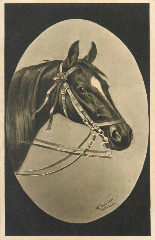 Horse M. Schonian artist signed postcard