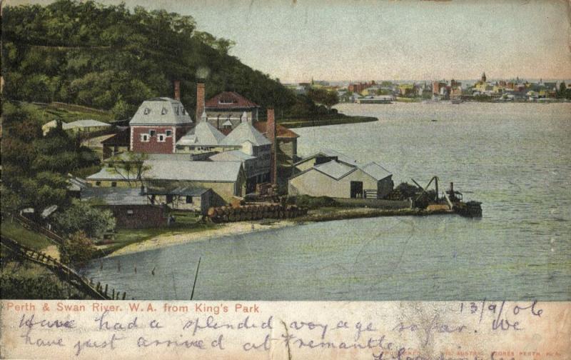 australia, Perth and Swan River, W.A., from King's Park (1906) Postcard