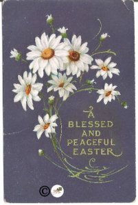 White Pained Daisies on Ultra Violet A Peaceful Easter Easter Greeting Postcard