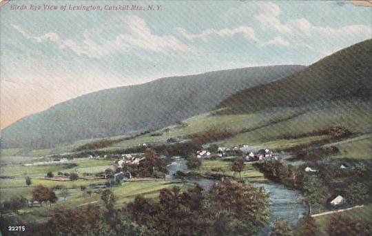 New York Catskill Moutains Birds Eye View Of Lexington 1908