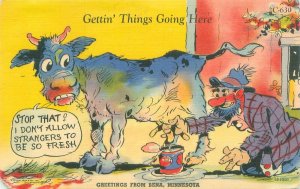 Greetings from Bena Minnesota 1948 Linen Postcard, Hobo Milking Insulted Cow