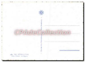 Modern Postcard Scenes Types In The Oasis Sguia