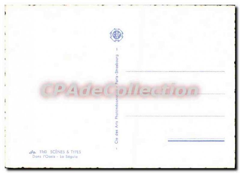 Modern Postcard Scenes Types In The Oasis Sguia