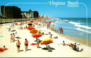 Virginia Virginia Beach Sun Bathers and Beach