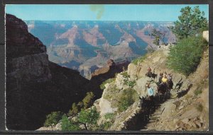 Arizona - Bright Angel Trail - Grand Canyon - [AZ-287]