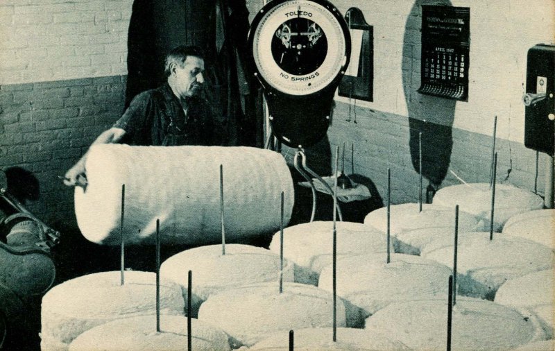 NC - Textile Industry. Rolls of Partially Processed Cotton