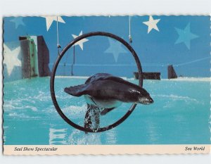 Postcard Seal Show Sea World Orlando Florida USA