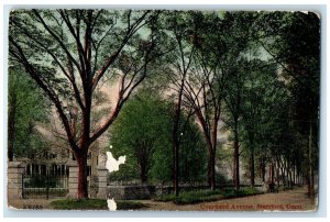 c1910s Courtland Avenue Trees Scene Stamford Connecticut CT Unposted Postcard