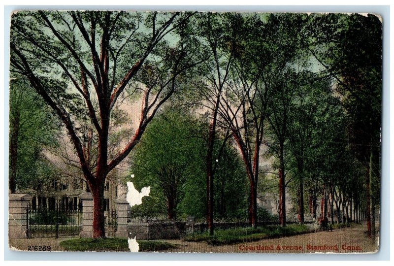 c1910s Courtland Avenue Trees Scene Stamford Connecticut CT Unposted Postcard