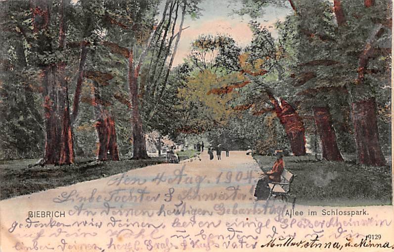 Allee im Schlosspark Biebrich Germany 1904 