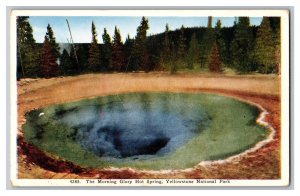 Vintage Postcard The Morning Glory Hot Spring Yellowstone National Park 