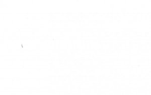 Red Palace Hotel Middletown, New York Postcard