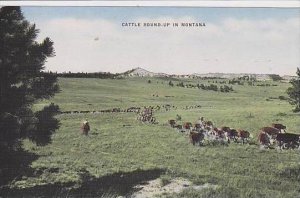 Montana Montana Cattle Round Up In Montana