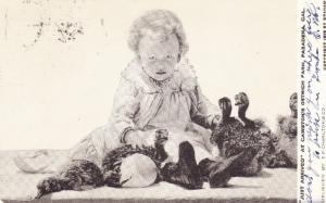 Antique Postcard c1908, Baby with New Ostrich Chicks, Cawston's Ostrich Farm E03
