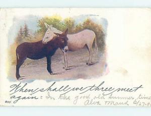 Pre-1907 PAIR OF DONKEY MULES TOGETHER HL6237