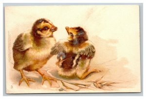 Vintage 1900's Tuck's Easter Postcard Cute Chicks in Field - Just Arrived