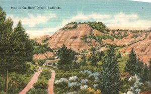 Vintage Postcard Trail Road Mountains Trees Nature Badlands North Dakota N. D.