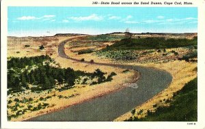 State Road Sand Dunes Cape Cod Mass. Vintage Postcard Standard View Card