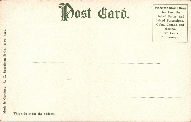 Postcard NY Catskills Kaaterskill Falls