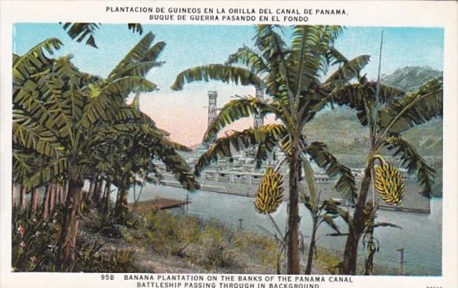 Panama Banana Plantation On Banks Of Panama Canal With Battleship Passing Thr...