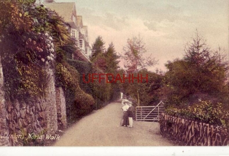 DEVON, ENGLAND. LYNTON, NORTH WALK Frith Series man and woman pause