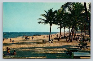 Coconut Palms on Fort Lauderdale Beach in Florida Vintage Postcard 0876