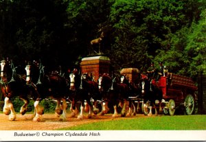 Horses Budweiser Budweiser Clydesdale Hitch Passing Through Gate At Grant...