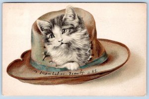 1907 CAT KITTEN TROMPE L'OEIL HAT EMBOSSED A MAN-HAT-ON BEAUTY POSTCARD