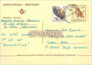 Entier Postal Bird Belgium Vanden Bulcke