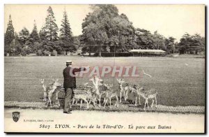 Lyon Old Postcard Tete Park d & # 39Or The park dains