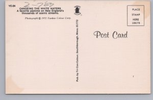 Canoeing The White Waters Of New England, Vintage Chrome Postcard